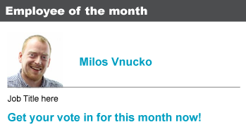 Screenshot of vote for employee of the month