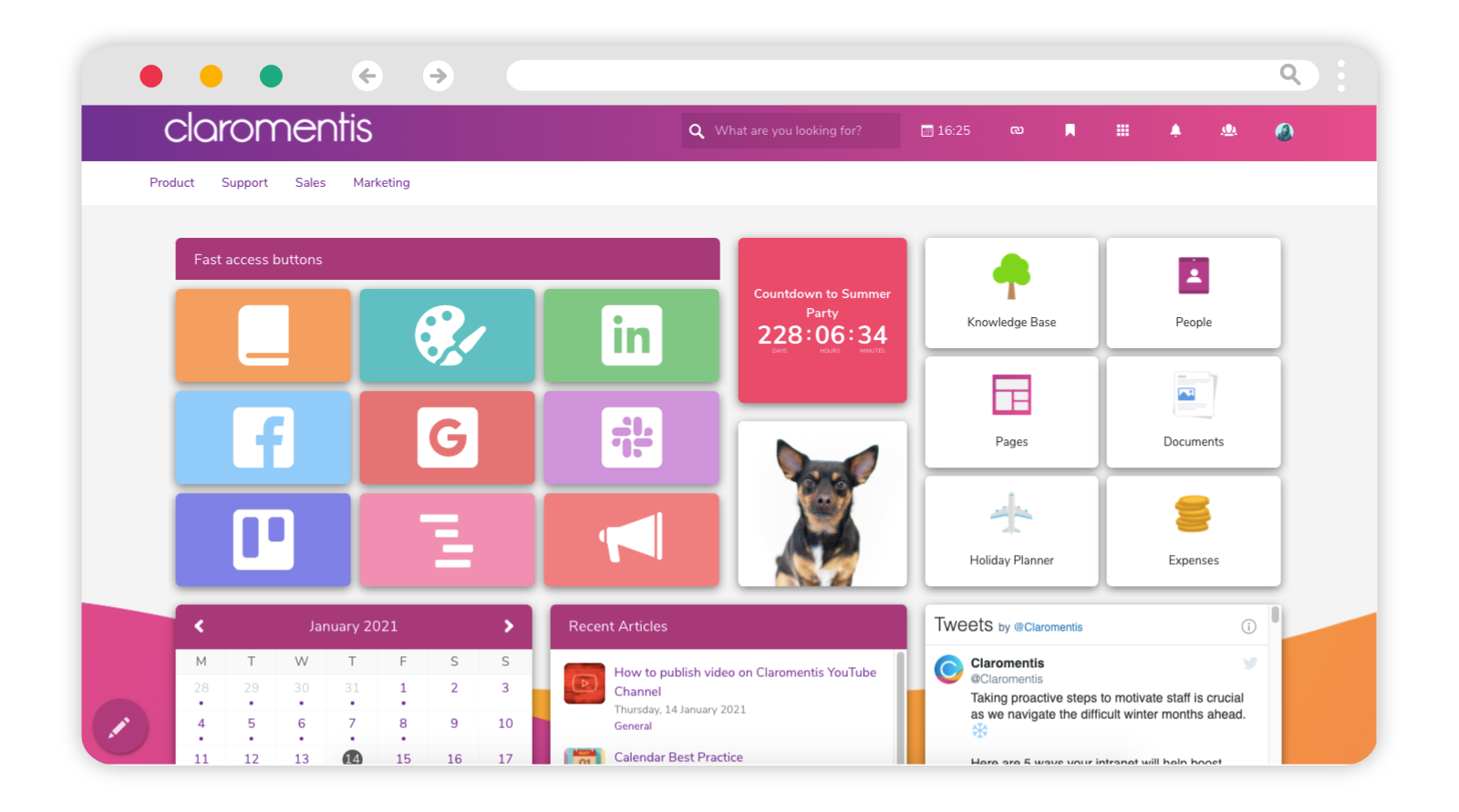 Intranet Design Examples Templates Claromentis